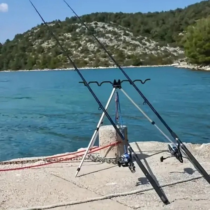 1 SET Fishing Telescopic Posit - Telescopic Fishing Rod 评论和价格