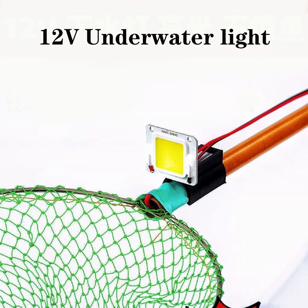 Catch Fishing Landing Net Pole - Landing Net Telescopic 评论和价格