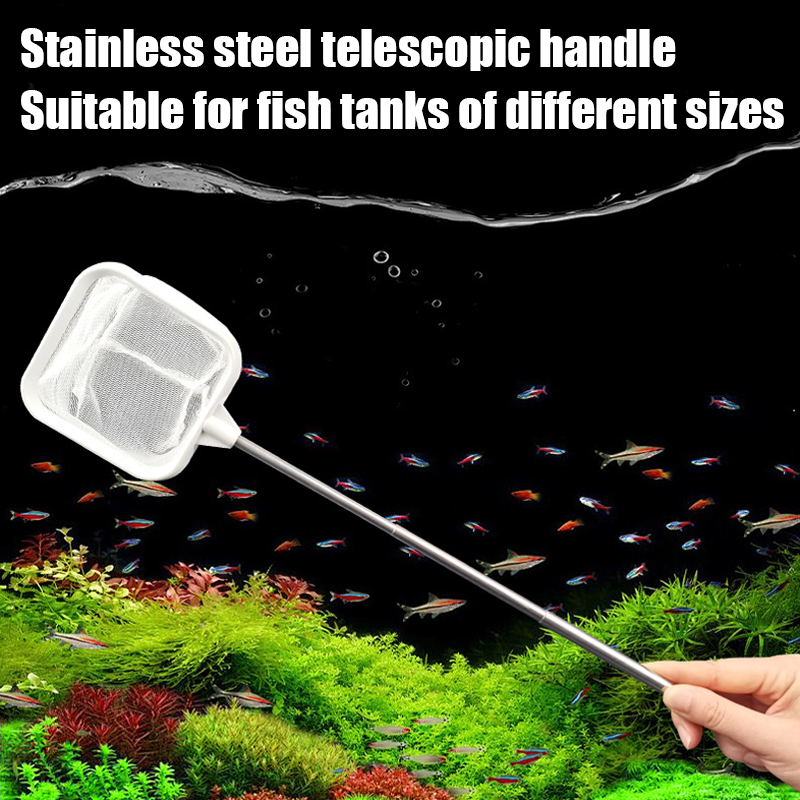 1PC Stainless Steel Telescopic - Landing Net Telescopic 评论和价格